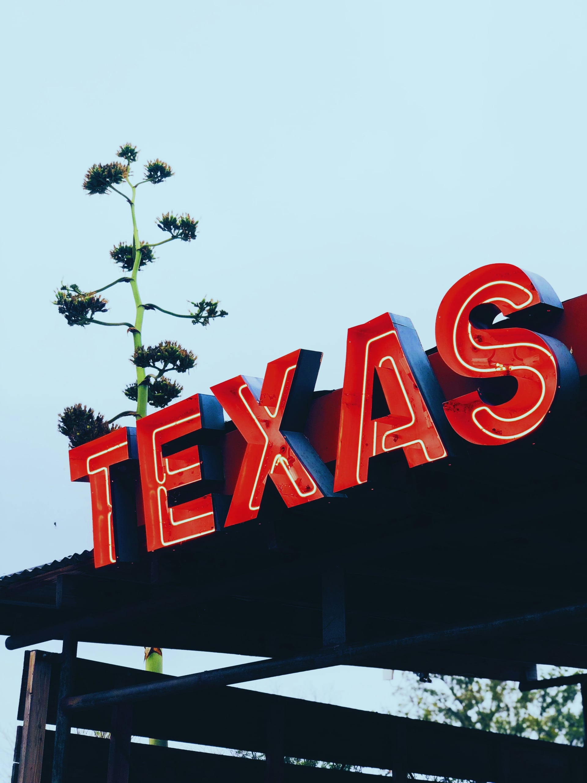 Moving from Albuquerque to Texas: What You Need to Know