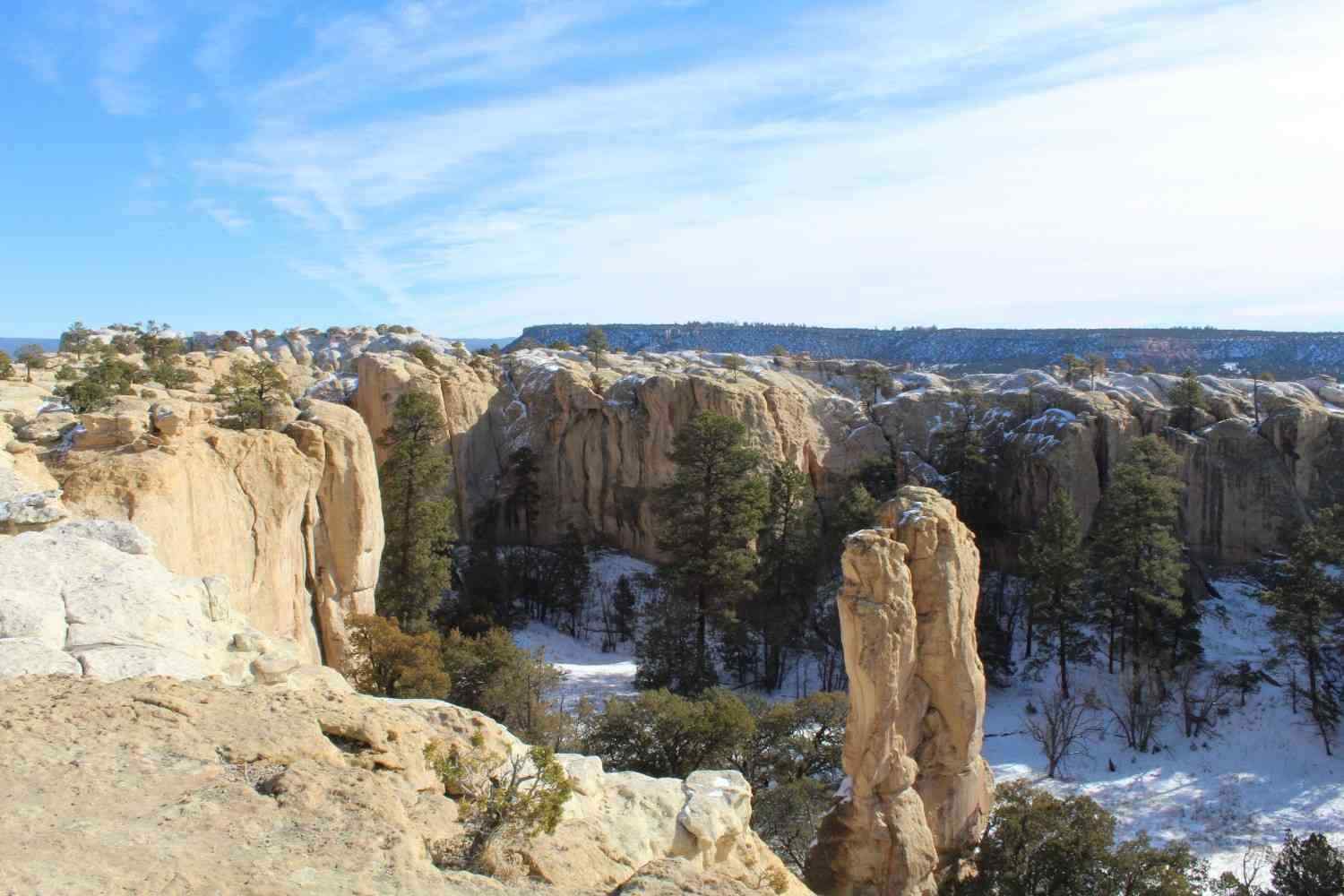 Moving to New Mexico in Winter: Weather, Risks & Smart Moving Tips